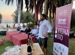 Pioppi, Premio Vigna Bio: i vincitori dell’edizione 2020