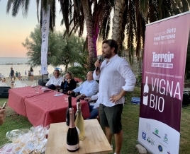 Pioppi, Premio Vigna Bio: i vincitori dell’edizione 2020