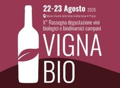 Al via la X edizione del Premio Vigna Bio: aperte le iscrizioni alla rassegna dedicata ai migliori vini biologici e biodinamici della Campania