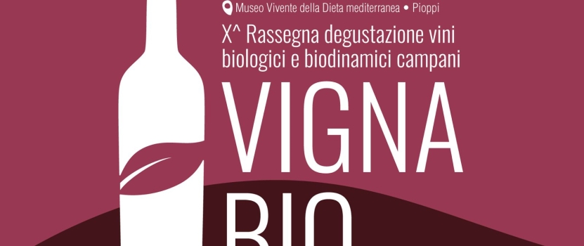 Al via la X edizione del Premio Vigna Bio: aperte le iscrizioni alla rassegna dedicata ai migliori vini biologici e biodinamici della Campania