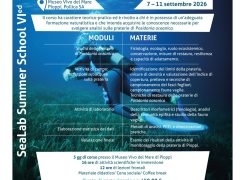 Dodici giovani biologi marini a Pioppi per studiare e monitorare le praterie di Posidonia Oceanica. Grande successo per la VI edizione della Summer School presso il Museo Vivo del Mare