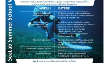 Dodici giovani biologi marini a Pioppi per studiare e monitorare le praterie di Posidonia Oceanica. Grande successo per la VI edizione della Summer School presso il Museo Vivo del Mare