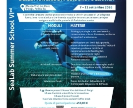 Dodici giovani biologi marini a Pioppi per studiare e monitorare le praterie di Posidonia Oceanica. Grande successo per la VI edizione della Summer School presso il Museo Vivo del Mare