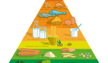 Meno dieta mediterranea uguale meno longevità