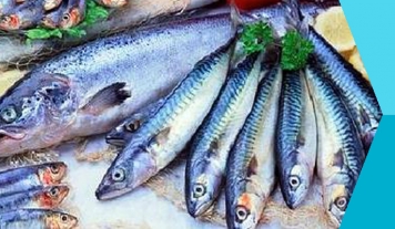 Sagra del pesce azzurro di Pioppi, rinnovata la tradizione
